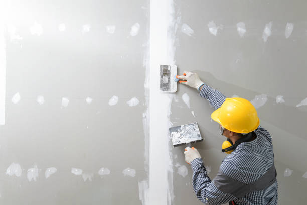 Reliable Bargaintown, NJ Mold Removal Solutions