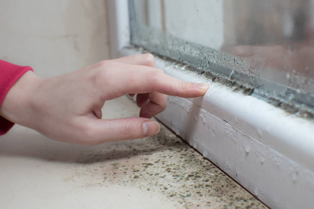 Best Mold Remediation for Healthcare Facilities  in Bargaintown, NJ