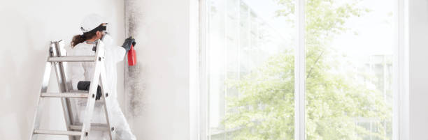 Best Mold Prevention Services  in Bargaintown, NJ