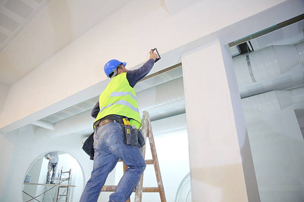 Best Basement Mold Removal  in Bargaintown, NJ